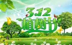 312植樹(shù)節(jié) 瑞達(dá)與你同行